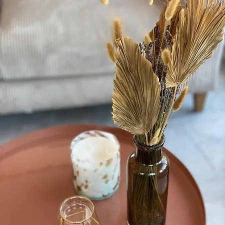 Cap D Ail Monaco קאפ ד'איי